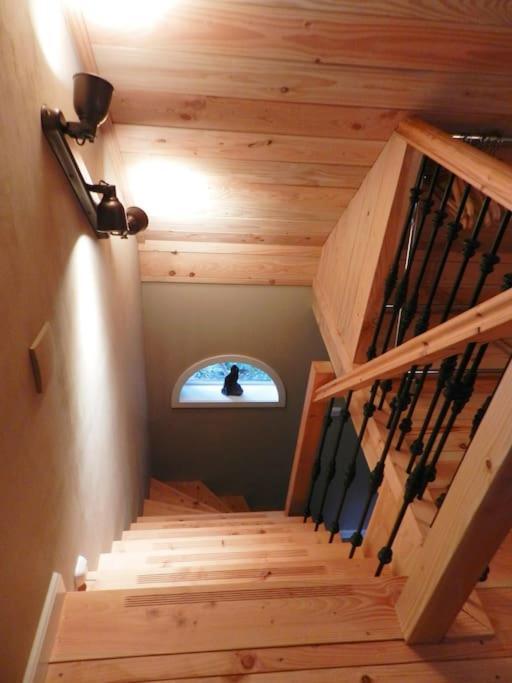 Willa Tiny House Tholen Zewnętrze zdjęcie