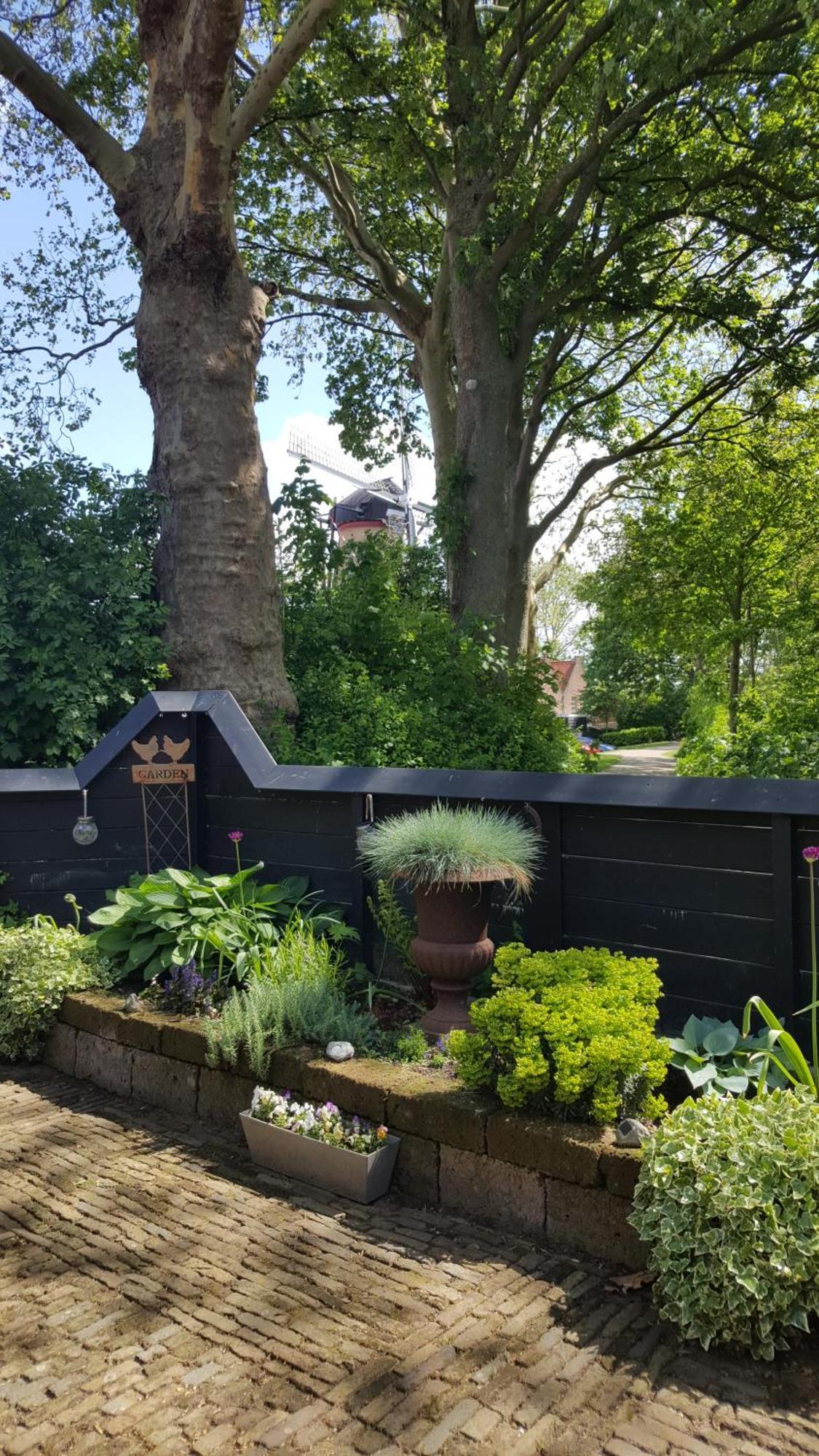 Willa Tiny House Tholen Zewnętrze zdjęcie